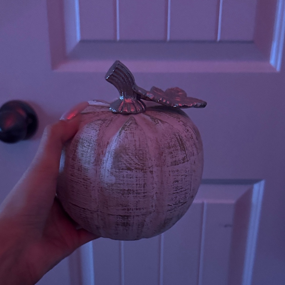 Silver Decorative Pumpkin